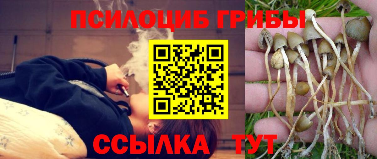Галлюциногенные грибы Cubensis  Псилоцибиновые грибы GOLDEN TEACHER  Вход с VPN  Гуково 