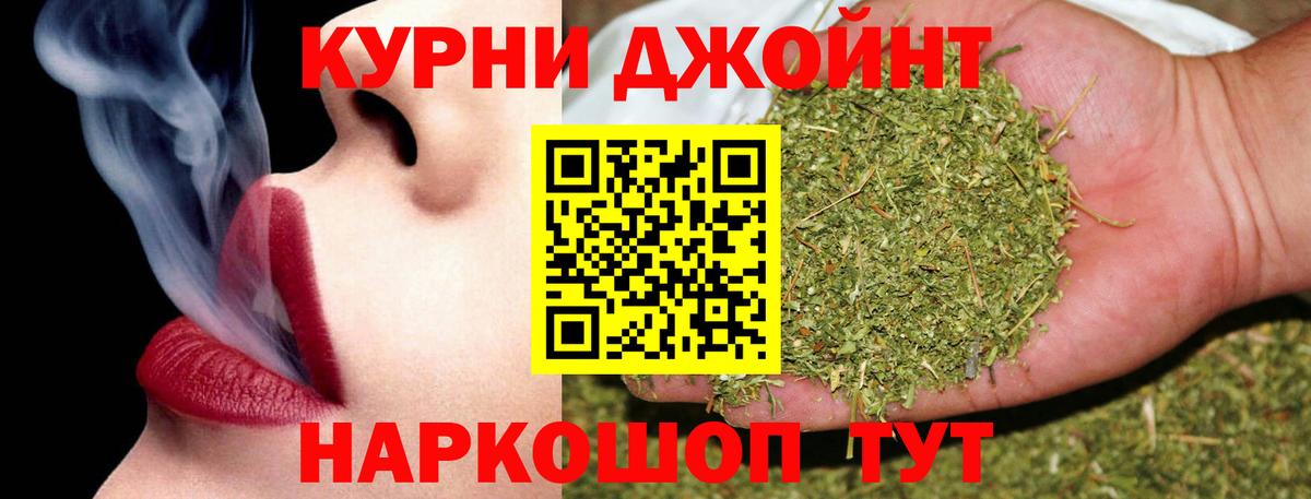 Конопля марихуана Гуково